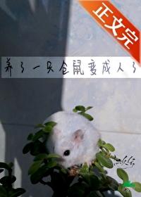 仓鼠变身 仓鼠变身