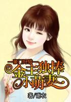 豪门玩宠 豪门玩宠