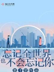 忘记全世界也不会忘记你 忘记全世界也不会忘记你