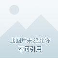 海贼王之最强自然系