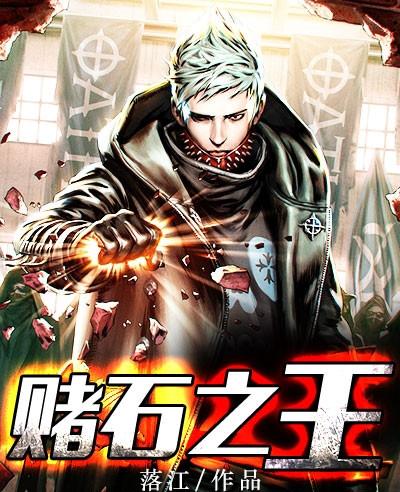 赌石之王 赌石之王