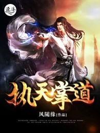 执天掌道 执天掌道