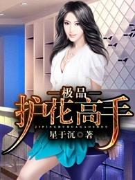 极品护花高手 极品护花高手
