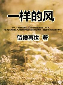 一样的风 一样的风