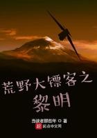 荒野大镖客之黎明 荒野大镖客之黎明