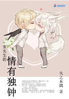 宋先生的情有独钟 宋先生的情有独钟